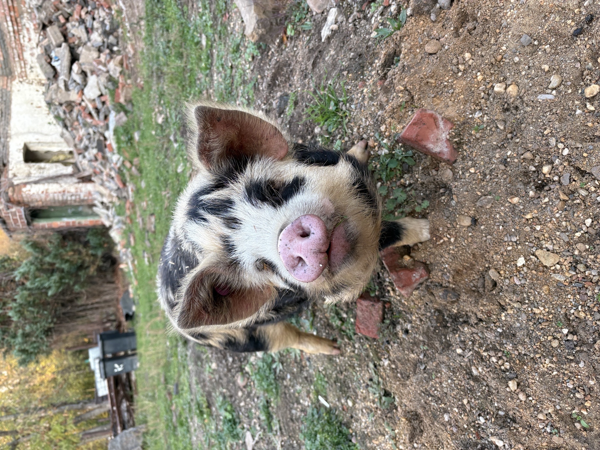 Foto 2 Mitmach-Futterküche Sachsen-Anhalt