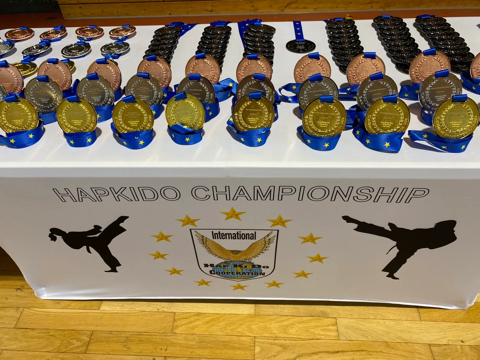 Projekt: Hapkido EM Wittenberg, Medaillen