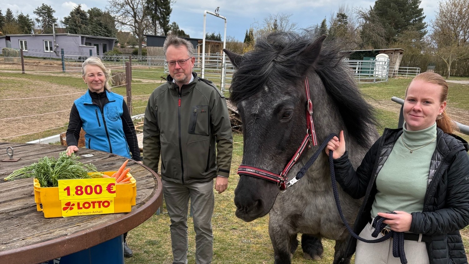 Foto Projekt Pferdesport Tangerhütte