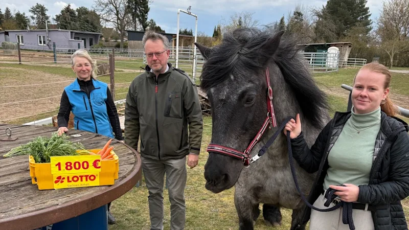 Foto Projekt Pferdesport Tangerhütte