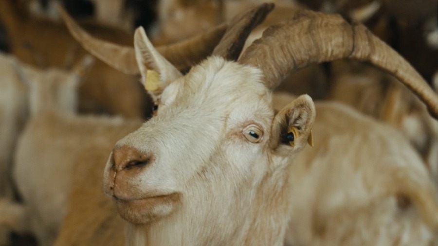 Foto Projekt Lohra Hessen