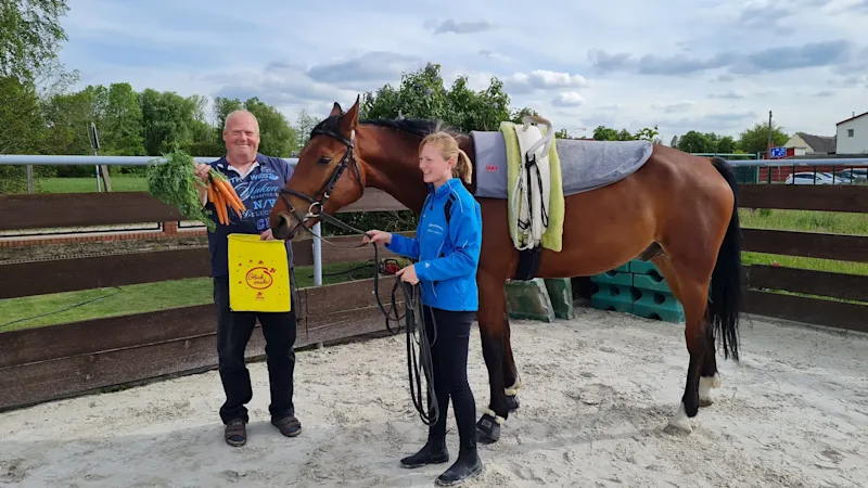 Projekt Therapiepferd Zerbst