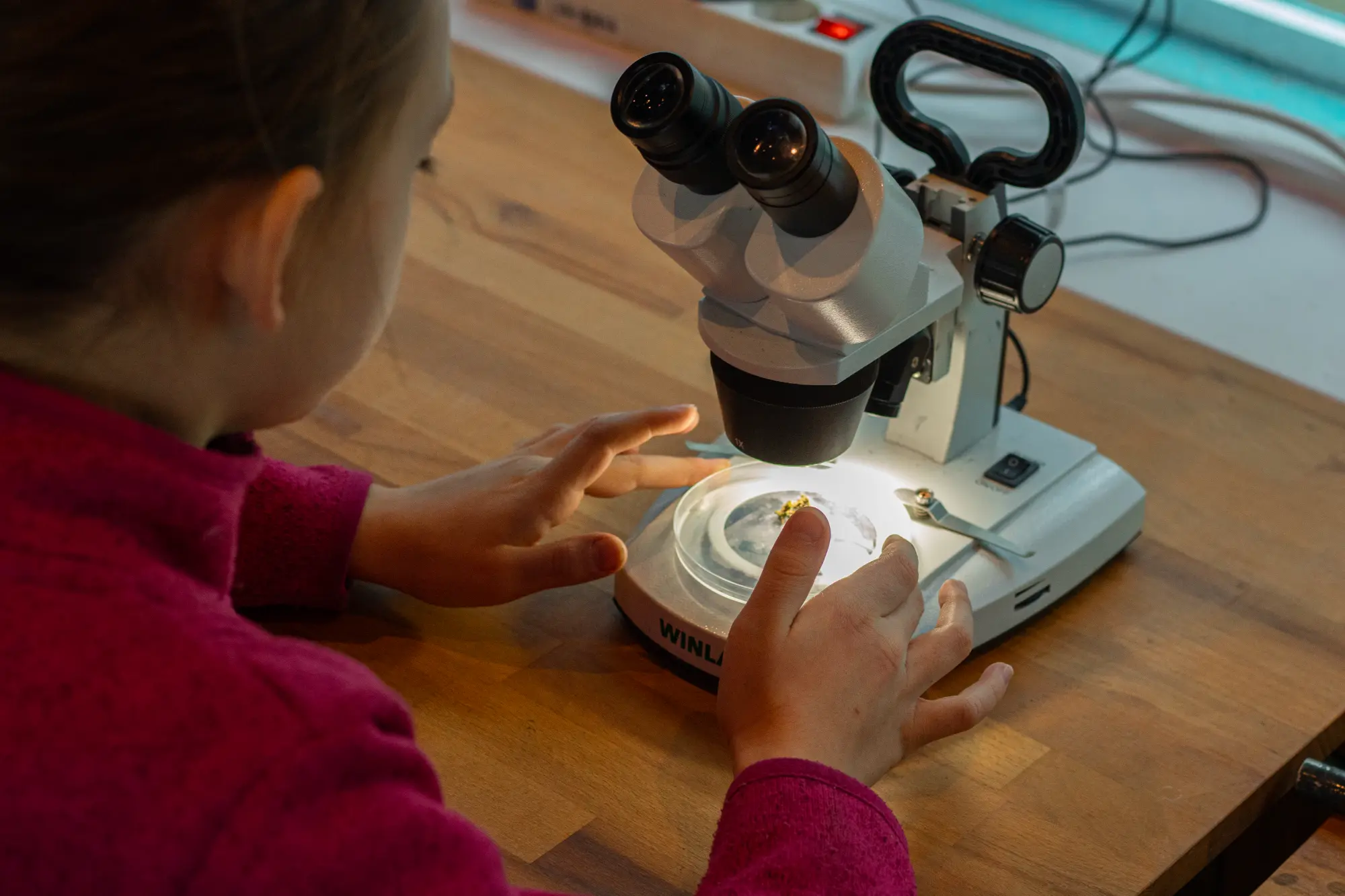 PrimaKlimaCamp Halle Mikroskop