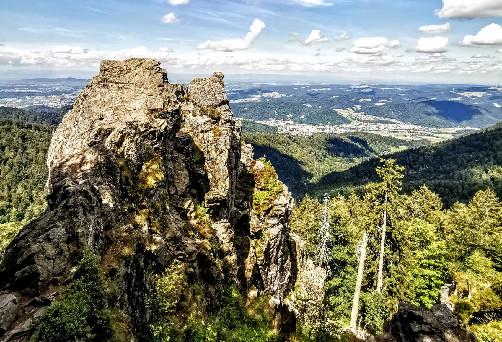 Projekt Naturparks Baden-Württemberg Kandelfelsen