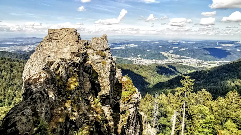 Projekt Naturparks Baden-Württemberg Kandelfelsen