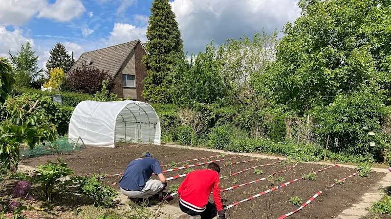 Projekt Grüne Oase Osnabrück
