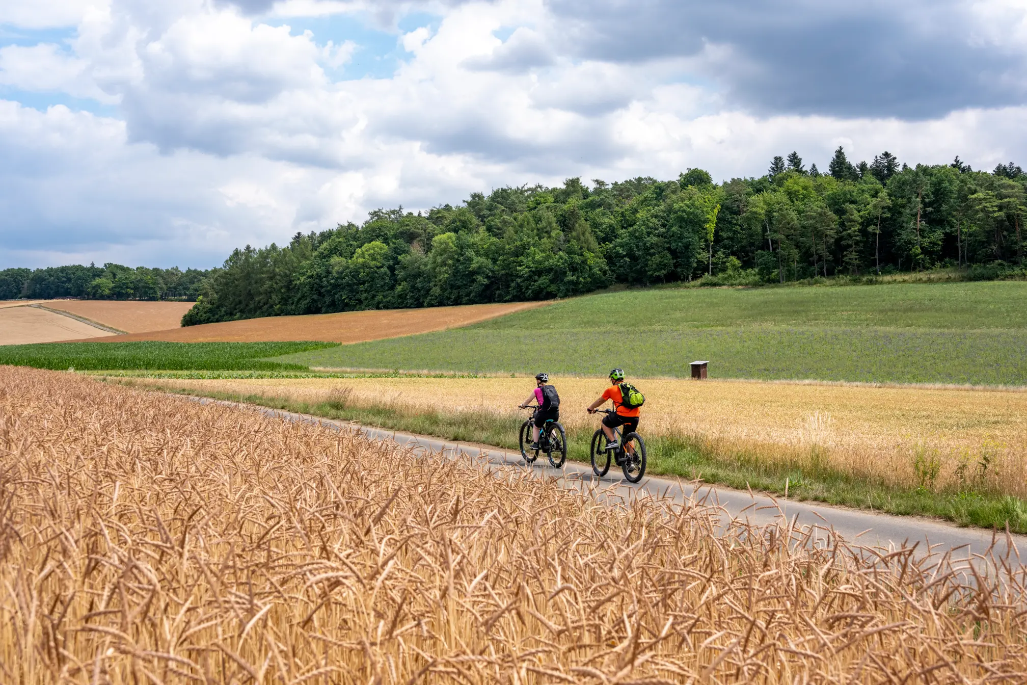 Projekt Naturparks Baden-Württemberg