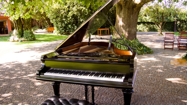 Projekt Brandenburgische Sommerkonzerte